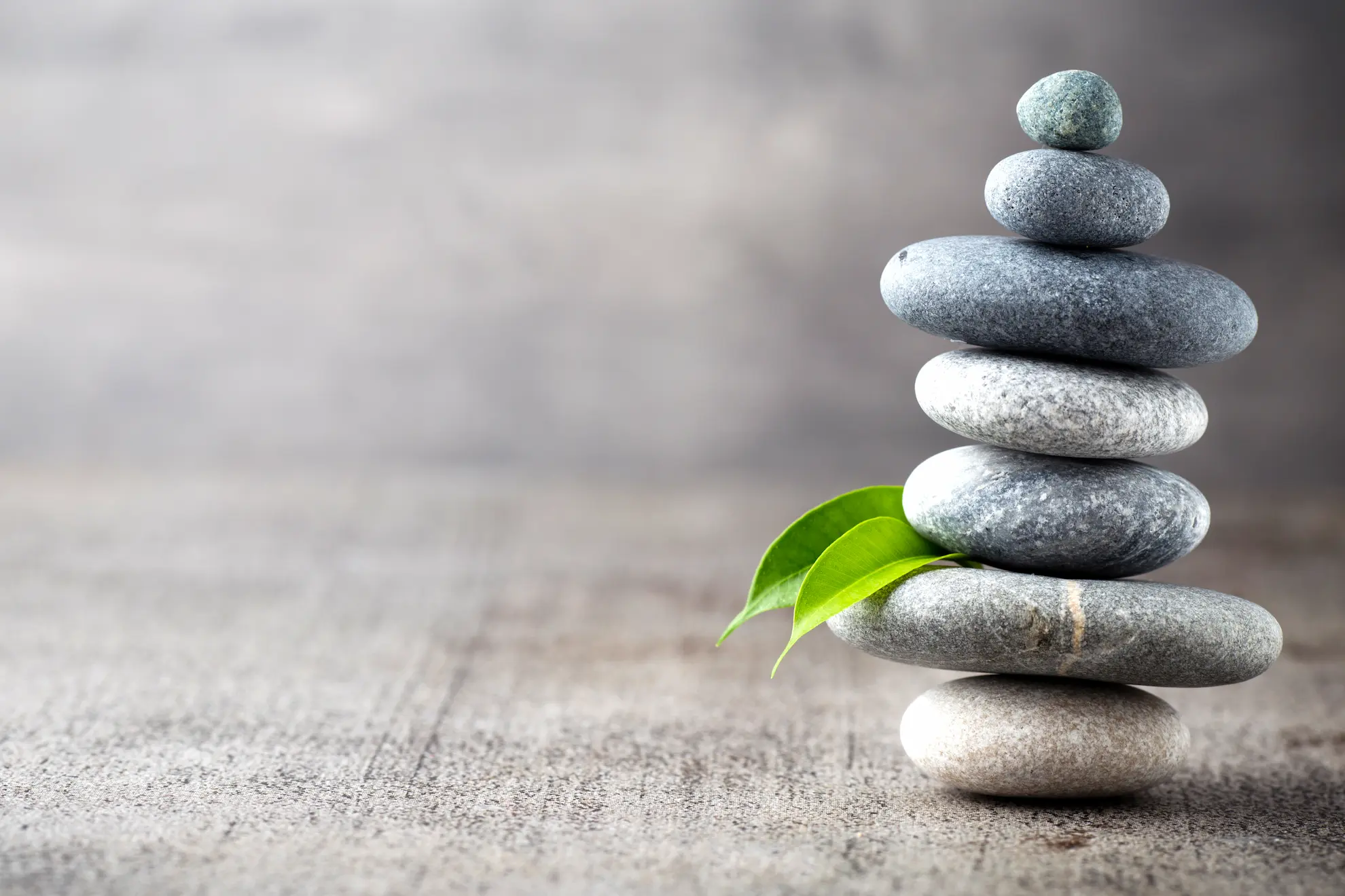 Disseny web andorra wellness